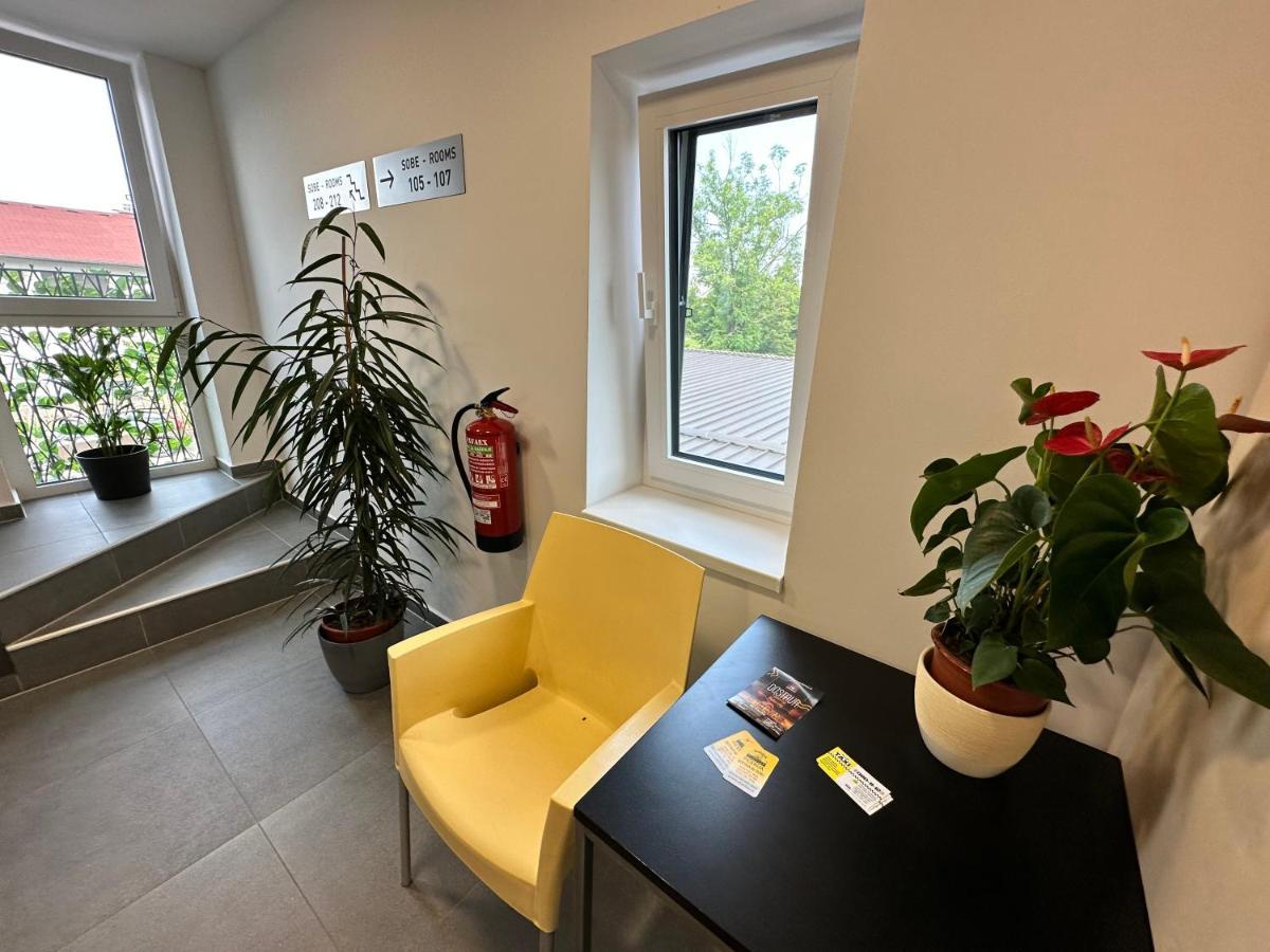 Villa Magdalena Apartments & Rooms Maribor Kültér fotó